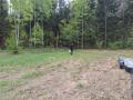 IMG_20250511_141428-1