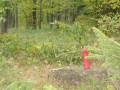 IMG_9433_Custom_