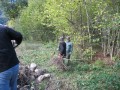 IMG_8838_Custom_