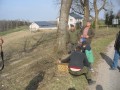 IMG_0439_Du_y_