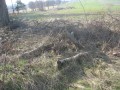 IMG_0450_Du_y_