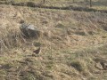 IMG_0451_Du_y_