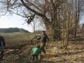 IMG_0454_Du_y_