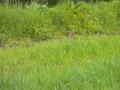 DSCN1289_Custom_