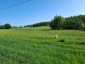 IMG_20250610_082344-11