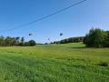 IMG_20250610_082344-12