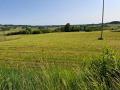 IMG_20250610_082344-14