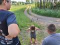 IMG_20250610_082344-17
