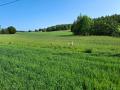 IMG_20250610_082344-2