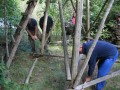 IMG_9385_Custom_