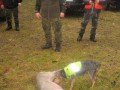 IMG_1410_Custom_